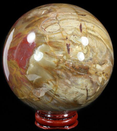 Colorful Petrified Wood Sphere #49778